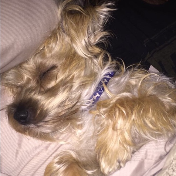 Meet your Posher, Marissa - Picture 1 of 1